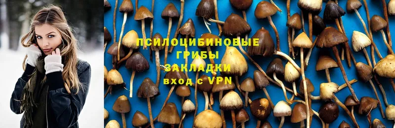 наркота  Бавлы  Галлюциногенные грибы Magic Shrooms 